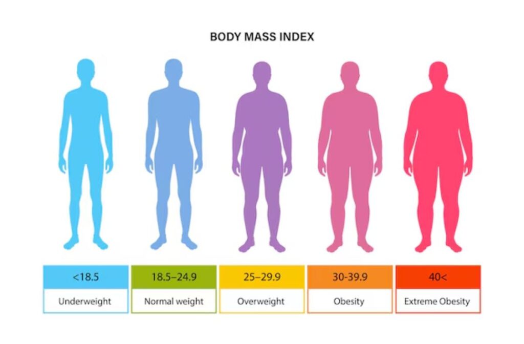 Body Measurement Guide