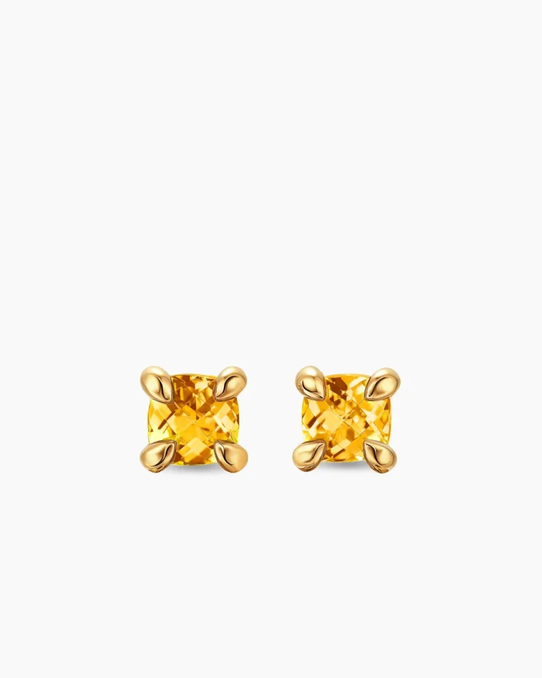 Micro Chatelaine Stud Earrings